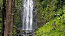 Full Day Private Tour to Materuni Waterfalls, Coffee Tour & Kikuletwa Hot Spring