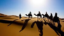 Marrakech to Fez : 3-Day Sahara Desert Tour To Merzouga 