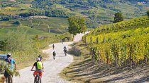 "Langhe del Barolo" Private E-bike Tour - Asphalt and Dirt Road