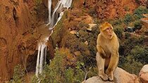 Marrakech: Ouzoud Waterfalls Day-Trip