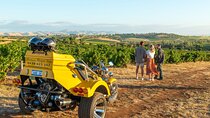 Unique Trike Barossa Valley Half Day Private Tour For 2