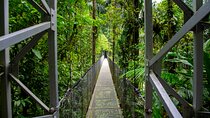 2-in-1 Best of La Fortuna. Hanging Bridges & Arenal Volcano + Traditional Lunch