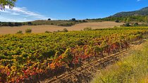 Full-Day Private Wine Tasting Tour in La Rioja with lunch
