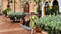 Cartagena Unforgettable: Half Day Private City Tour (Also for Cruisers)