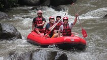 Rafting at Ayung River(Include Return Hotel Transportation)