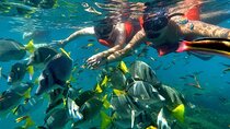Half-Day Snorkel Experience and Party Catamaran in Los Cabos! + Round Trip