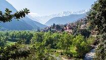 Day Trip to Atlas Mountains and Berber Villages