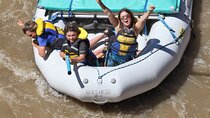 Half-Day Family-Friendly Moab Raft Trip