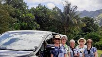 Private vehicle transfer Nadi Airport to Fiji Marriot, Momi Bay