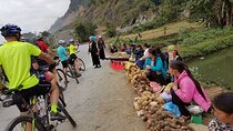 3 Days Cycling to Mai Chau & Pu luong from Hanoi