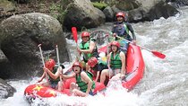 Ayung Rafting and Combination Ubud Tour Packages