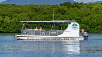 Cairns Trinity Inlet Sightseeing Safari 