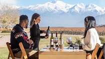 Lujan Deluxe - Full day - Premium Wine Tour with Gourmet Lunch