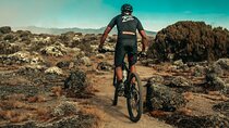 Kilimanjaro Shira Plateau E-Bike Day Trip