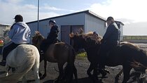 Family Horse Riding Tour in Thorlakshofn