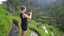 Best of Ubud - Ubud Tour Popular - All Inclusive