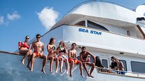 Sea Star | Half Day Cruise