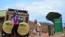 7 Days Tanzania Unforgettable Comfort Safari