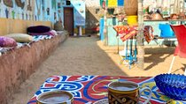 Nubian Village Trip by Motorboat from Aswan Private Tour with Guide and Transfer