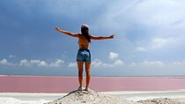 Las Coloradas Amazing Pink Lake & Rio Lagartos from Tulum