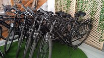 Full Day Bike Rental in Seville