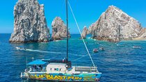 Snorkel, Boat Tour, Open Bar & Lunch on Baja Blast!