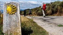 Live the magic of Camino de Santiago
