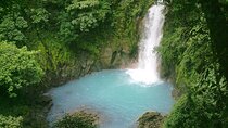 Rio Celeste Waterfall and Sloth Sactuary Full-Day Tour with Lunch