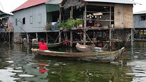 Private Half-Day Tour to Kampong Phluk Flooded Forest and Floating Villages