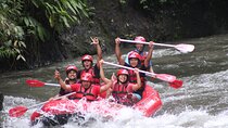 Ayung Rafting Ubud (Buffet Lunch & Return Hotel Transport)