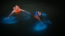 Luminous Lagoon Private Tour 