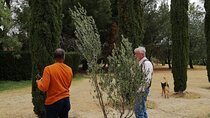 Morning Tour and Olive product tasting