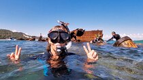 Tangalooma Wrecks Guided Snorkel from Brisbane