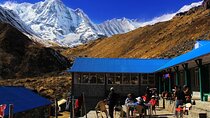 Annapurna Basecamp Trek (ABC)