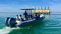 Miami Small Group Boat Tour: History, Wildlife, and Stiltsville
