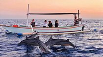 Private Full-Day Lovina Dolphin Watching and Snorkeling Boat Tour