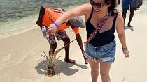 Negril Glass Bottom Boat Tour+Snorkeling visit Booby cay island