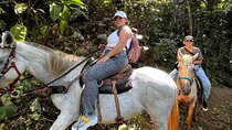 Horseback riding in the Atlantic forest BY PARATY TOURS