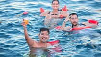 All Inclusive: snorkeling, boat tour, food and drinks! 