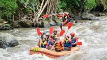 Bali Ayung White Water Rafting Adventure 