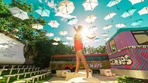 Test your Senses at unforgettable Park Xenses from Riviera Maya