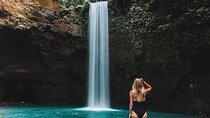 Best of Ubud Waterfalls, Tegalalang Rice Terrace and Swing Tour