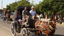 Luxor ancient sights, city Tour with traditional Horse Carriage