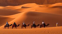 2-Day Luxury Sahara Tour: Fes to Marrakech or Fes 