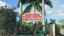 Worthy Park Estate Rum Tour from Ocho Rios