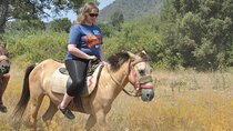Marmaris Horse Half-Day Guided Safari 