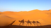 3 Days Tour from Marrakech to The Sahara