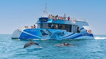 Dolphin Watching Half-Day Cruise from Lagos