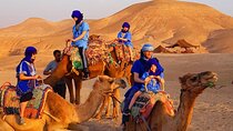 Marrakech Desert: Dinner Show with Quad Bike and Camel Ride