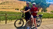 Santa Barbara Vineyard to Table Taste Tour by E-Bike